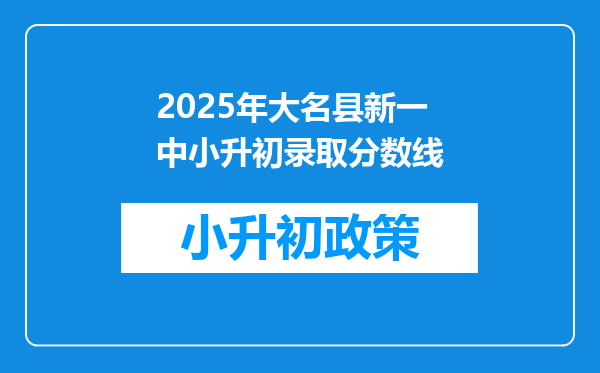 2025年大名县新一中小升初录取分数线