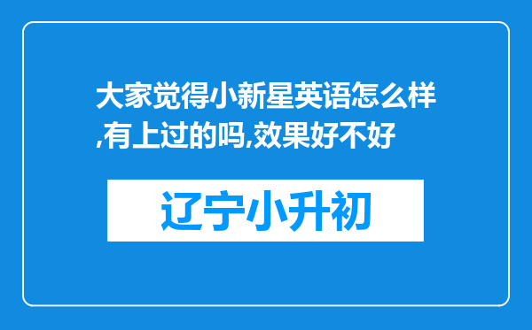 大家觉得小新星英语怎么样,有上过的吗,效果好不好