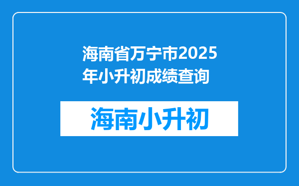 海南省万宁巿2025年小升初成绩查询