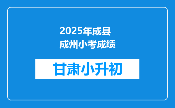 2025年成县成州小考成绩