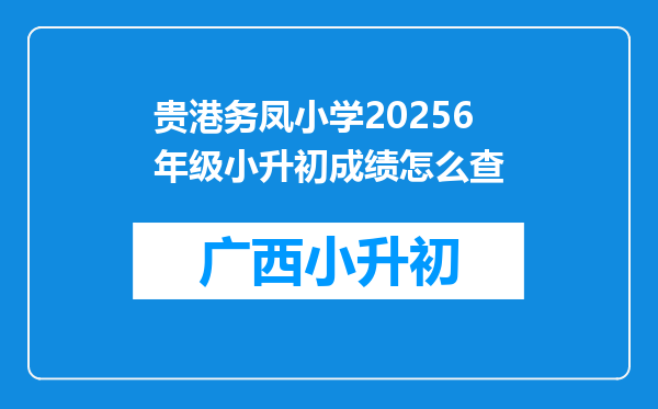 贵港务凤小学20256年级小升初成绩怎么查