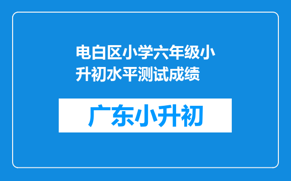 电白区小学六年级小升初水平测试成绩