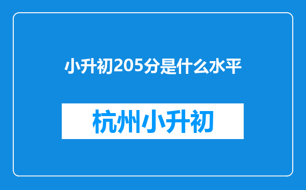 小升初205分是什么水平