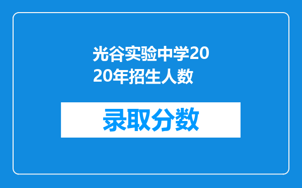 光谷实验中学2020年招生人数