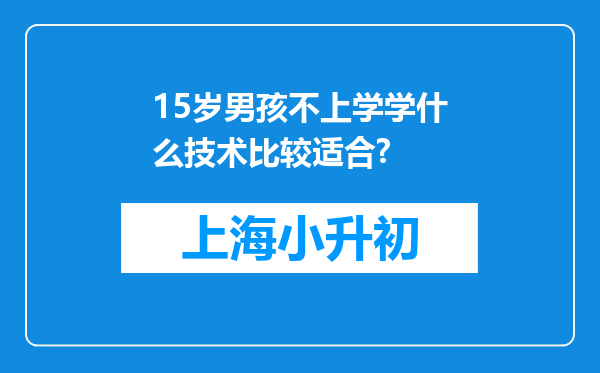 15岁男孩不上学学什么技术比较适合?