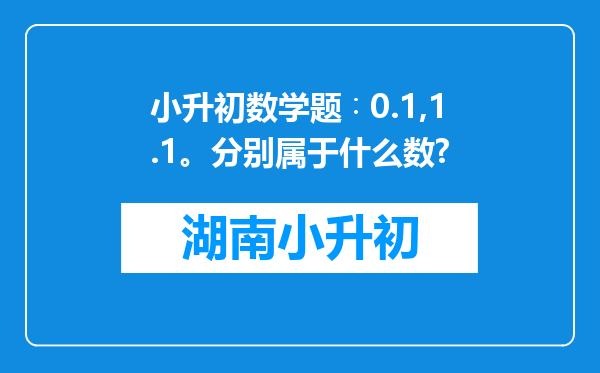 小升初数学题∶0.1,1.1。分别属于什么数?