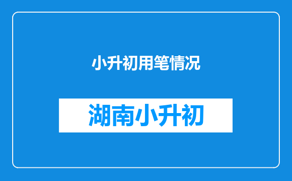 小升初用笔情况