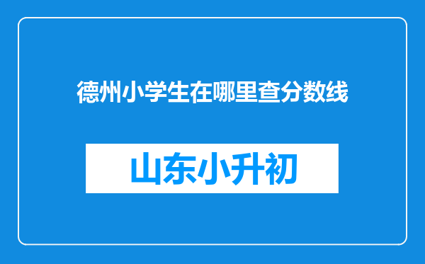 德州小学生在哪里查分数线