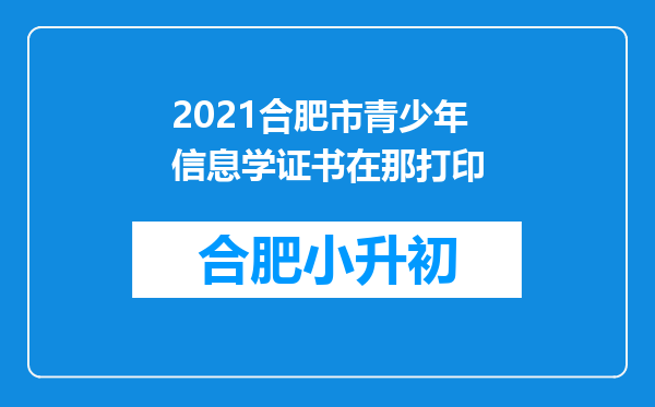 2021合肥市青少年信息学证书在那打印