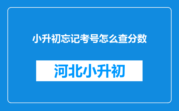 小升初忘记考号怎么查分数