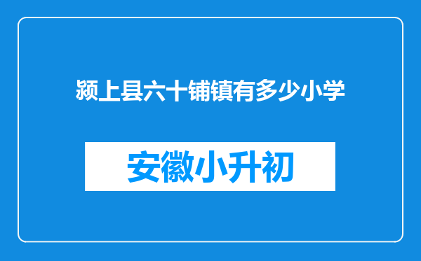 颍上县六十铺镇有多少小学