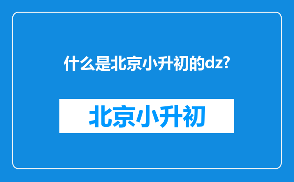 什么是北京小升初的dz?