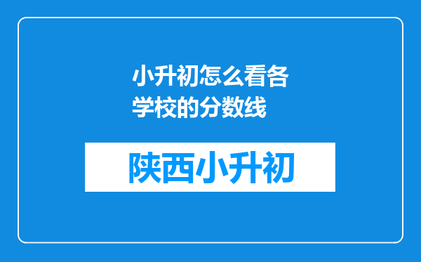 小升初怎么看各学校的分数线