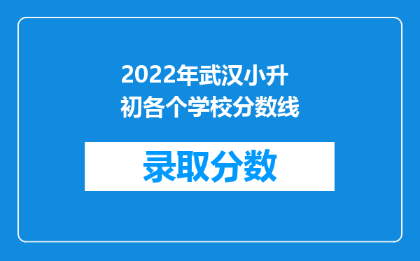 2022年武汉小升初各个学校分数线