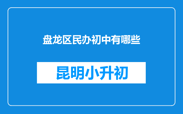 盘龙区民办初中有哪些