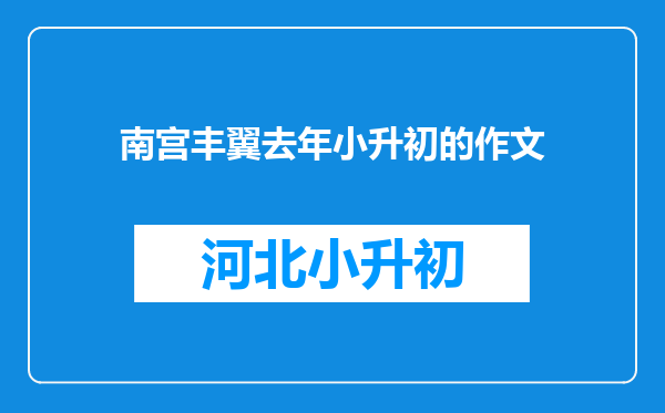 南宫丰翼去年小升初的作文