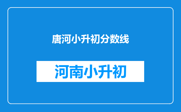 唐河小升初分数线