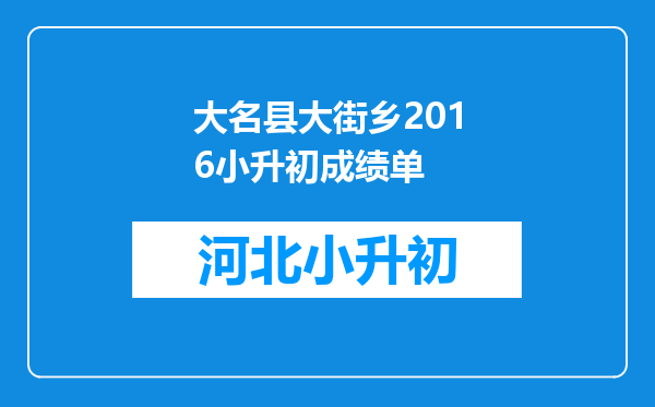 大名县大街乡2016小升初成绩单