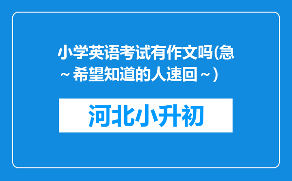 小学英语考试有作文吗(急～希望知道的人速回～)