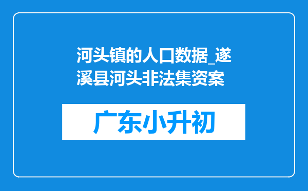 河头镇的人口数据_遂溪县河头非法集资案