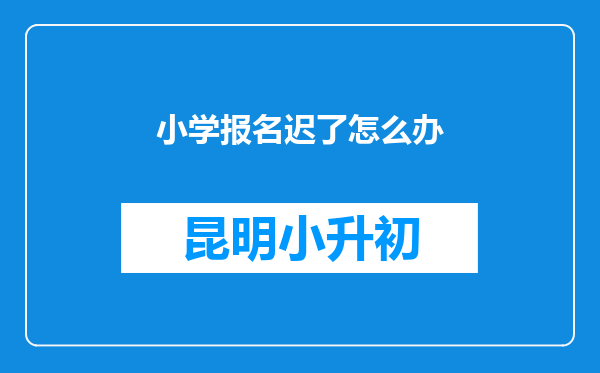 小学报名迟了怎么办