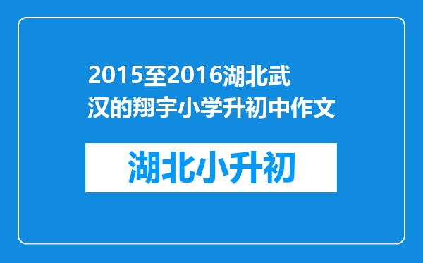 2015至2016湖北武汉的翔宇小学升初中作文