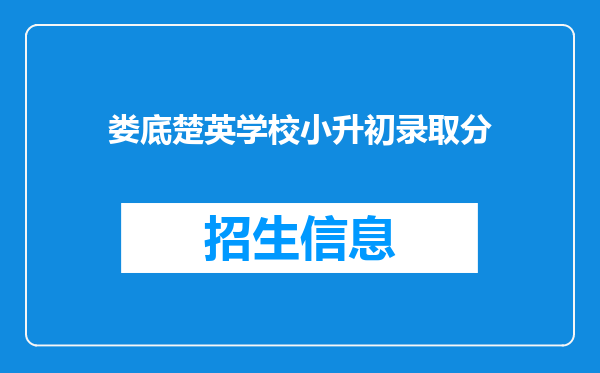 娄底楚英学校小升初录取分