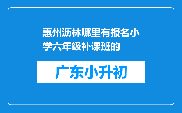 惠州沥林哪里有报名小学六年级补课班的