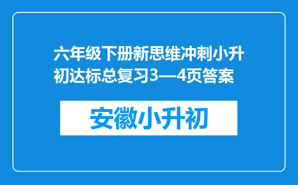 六年级下册新思维冲刺小升初达标总复习3—4页答案