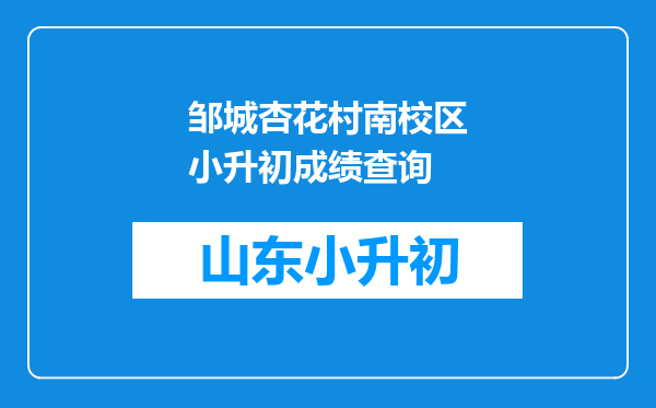 邹城杏花村南校区小升初成绩查询