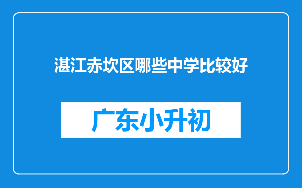 湛江赤坎区哪些中学比较好