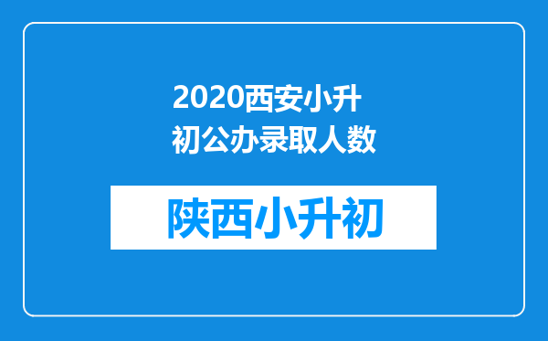 2020西安小升初公办录取人数