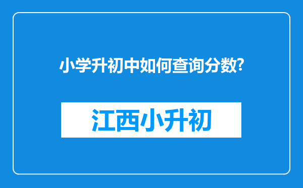 小学升初中如何查询分数?