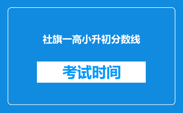 社旗一高小升初分数线