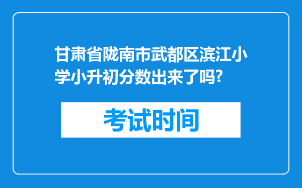 甘肃省陇南市武都区滨江小学小升初分数出来了吗?