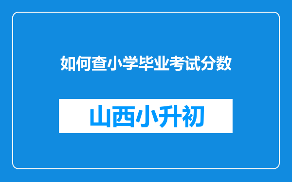 如何查小学毕业考试分数