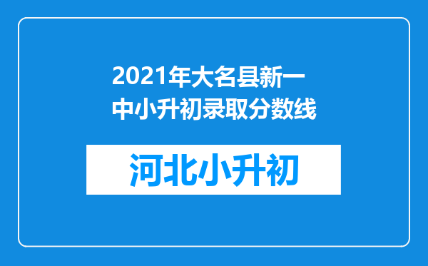 2021年大名县新一中小升初录取分数线