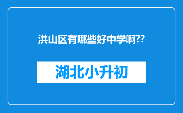 洪山区有哪些好中学啊??