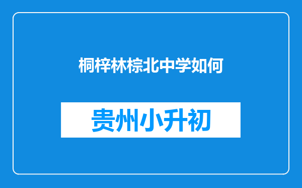 桐梓林棕北中学如何