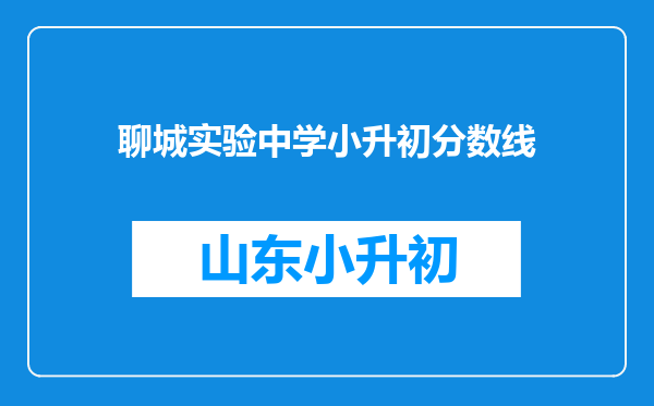 聊城实验中学小升初分数线