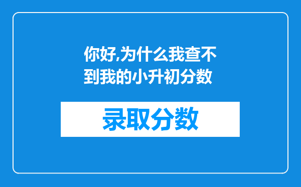 你好,为什么我查不到我的小升初分数