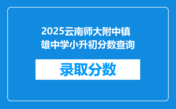 2025云南师大附中镇雄中学小升初分数查询