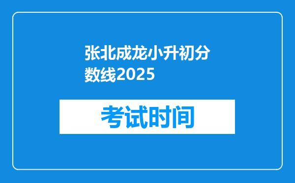 张北成龙小升初分数线2025