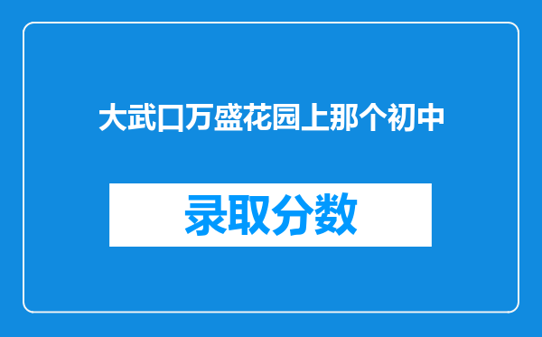 大武口万盛花园上那个初中