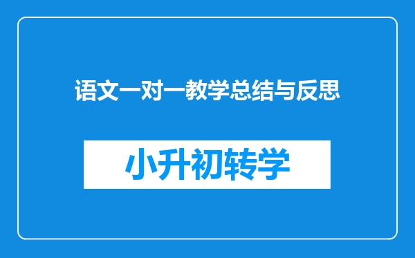 语文一对一教学总结与反思