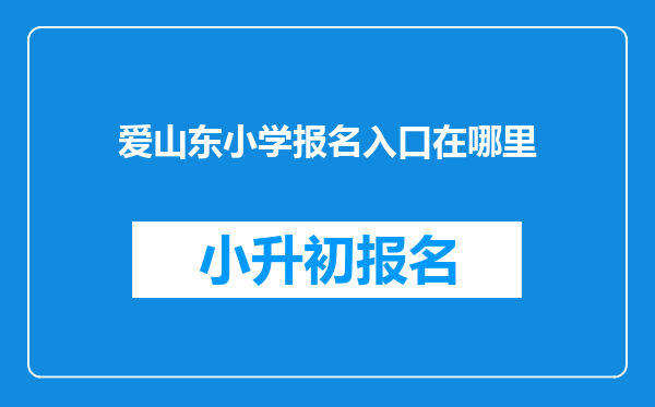 爱山东小学报名入口在哪里