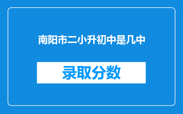 南阳市二小升初中是几中