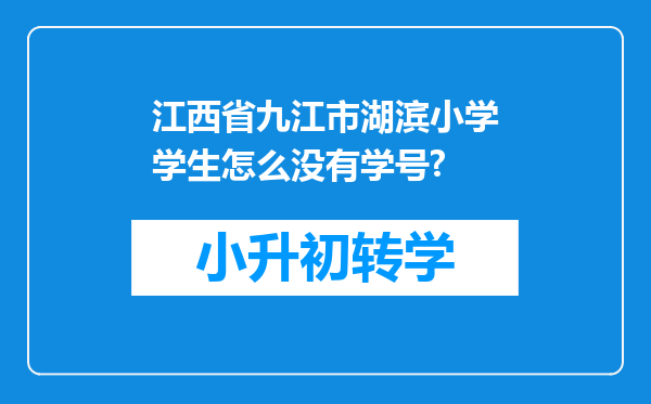 江西省九江市湖滨小学学生怎么没有学号?