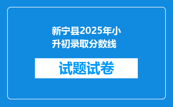 新宁县2025年小升初录取分数线