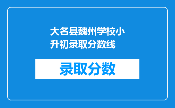 大名县魏州学校小升初录取分数线